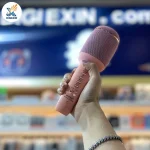میکروفون اسپیکر اورجینال WSTER WS-900 - تصویر 2